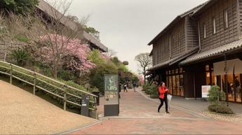 Kyushu Journey 2019 ตอนที่ 15 ชมสวนญี่ปุ่น จิบชา ที่สวนสวยเซนกังเอน